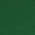 Papel Crepom Simples 48cm x 2m - Verde Bandeira