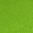 Papel Crepom Simples 48cm x 2m - Verde Folha