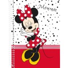 Caderno 1 Matéria Mickey e Minnie 80 Folhas Culturama