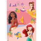 Caderno 1 Matéria Princesas Disney 80 Folhas Culturama