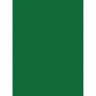 Papel Cartolina 180g 48x65cm - Verde Bandeira