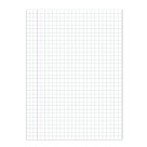 Papel Almaço Quadriculado 1cm x 1cm c/10 Folhas