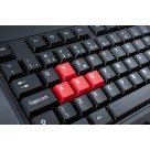 Teclado Gamer Com Fio EG-202 Evolut