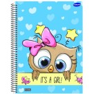 Caderno 20 Matérias Kbom Feminino 400fls São Domingos