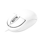 Mouse USB Óptico Azul Branco MO302 Multilaser